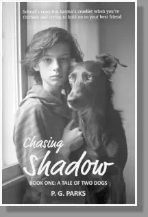 Chasing Shadow Book One cover image in grey tones