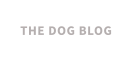 THE DOG BLOG