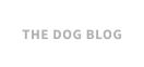 THE DOG BLOG